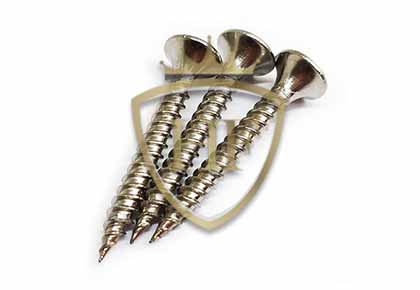 Stainless Steel Drywall Screw