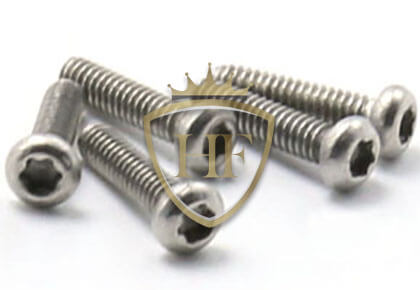 Torx Pan Head Machine Screws